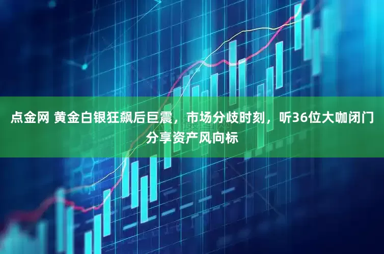 点金网 黄金白银狂飙后巨震，市场分歧时刻，听36位大咖闭门分享资产风向标